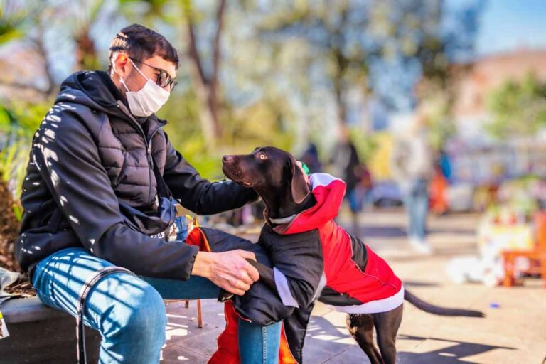 fotógrafía mascotas