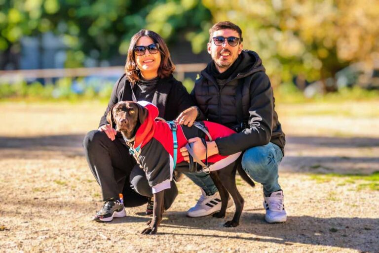 fotógrafía mascotas