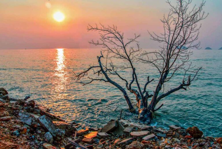 fotografía mallorca