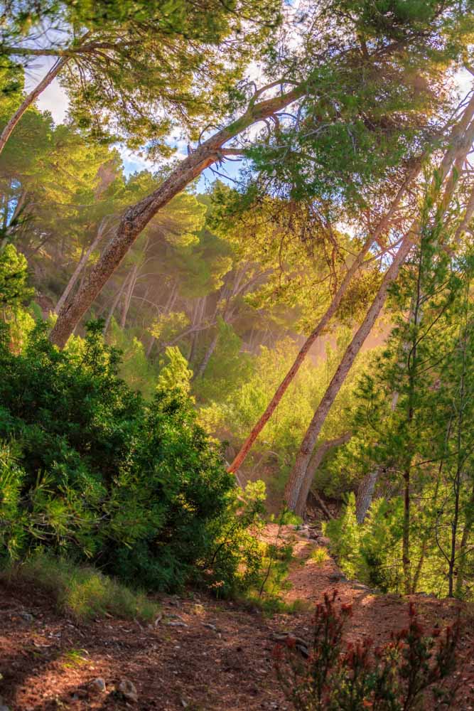 fotografía mallorca