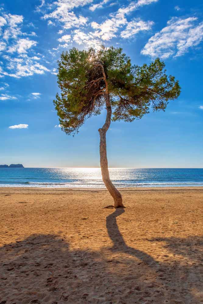 fotografía mallorca